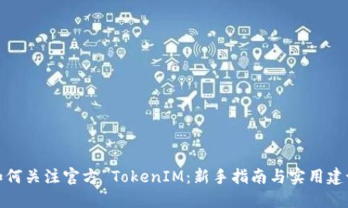 如何关注官方 TokenIM：新手指南与实用建议