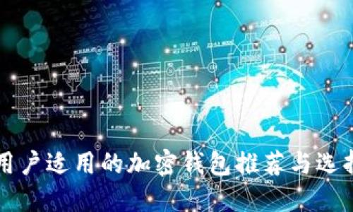 中国用户适用的加密钱包推荐与选择指南
