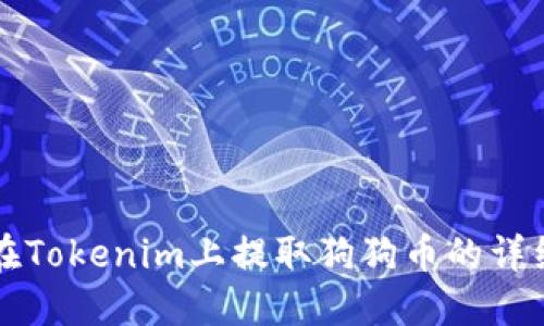 如何在Tokenim上提取狗狗币的详细指南