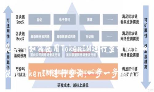 以下是关于如何使用TokenIM进行查询的详细介绍：

如何使用TokenIM进行查询：一步一步的指南