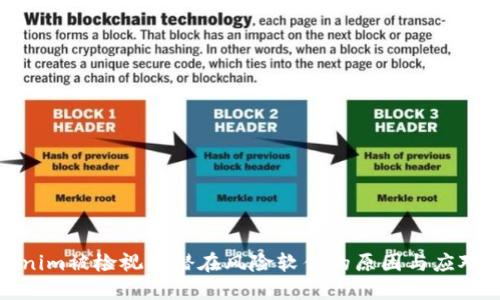 Tokenim被检视为潜在风险软件的原因与应对策略