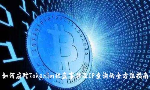 如何应对Tokenim被盗事件及IP查询的全方位指南