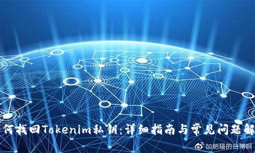 如何找回Tokenim私钥：详细指南与常见问题解析