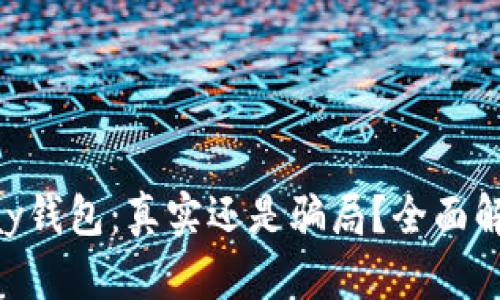 数字货币GoPay钱包：真实还是骗局？全面解析与用户指南