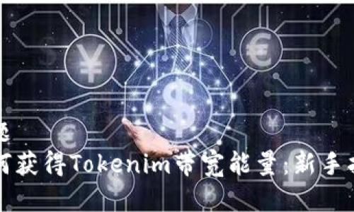 标题
如何获得Tokenim带宽能量：新手指南