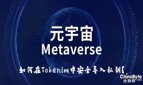 如何在Tokenim中安全导入私钥？