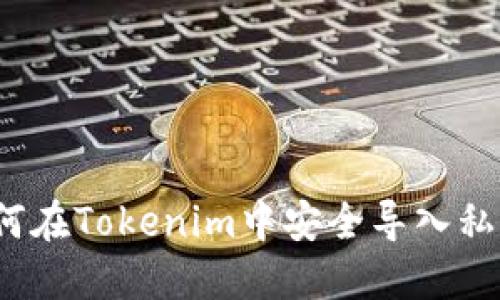 如何在Tokenim中安全导入私钥？