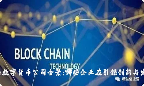 国内数字货币公司全景：哪些企业在引领创新与发展？