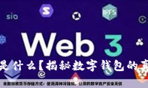 数字钱包是什么？揭秘数字钱包的真相与骗局