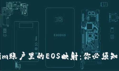 template
详解Tokenim账户里的EOS映射：你必须知道的关键点