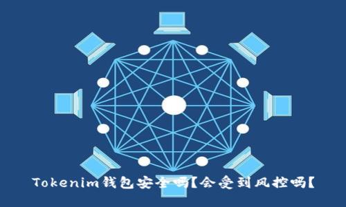 Tokenim钱包安全吗？会受到风控吗？