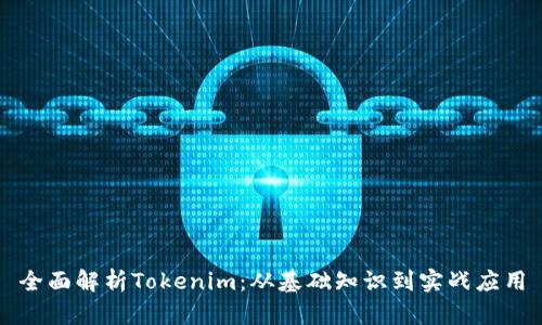 全面解析Tokenim：从基础知识到实战应用