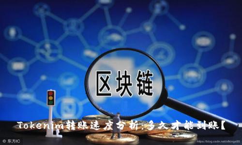 Tokenim转账速度分析：多久才能到账？