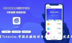 探索Tokenim：中国区块链项