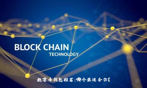 数字币钱包推荐：哪个最适合你？