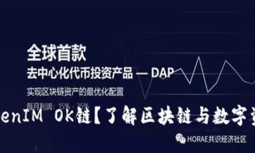 什么是TokenIM OK链?了解区块链与数字资产的未来