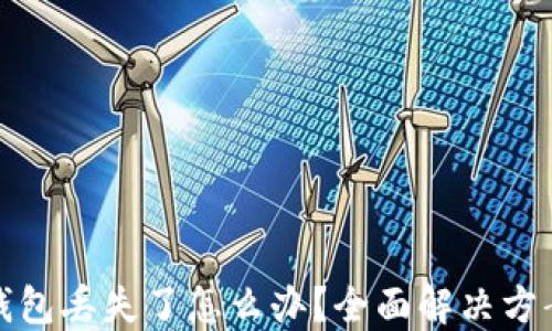 
数字货币硬钱包丢失了怎么办？全面解决方案与防范指南