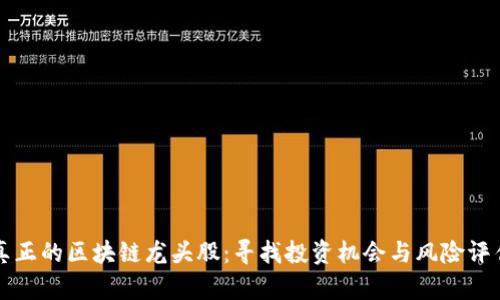 真正的区块链龙头股：寻找投资机会与风险评估