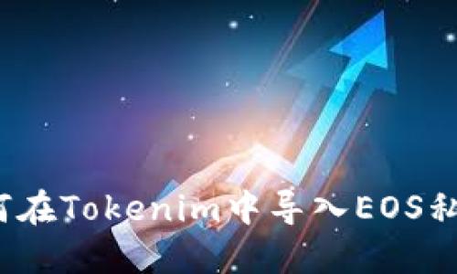 如何在Tokenim中导入EOS私钥？