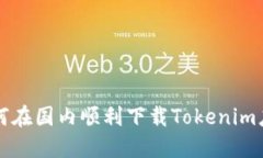 如何在国内顺利下载Toke