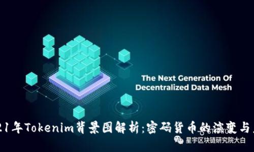 2021年Tokenim背景图解析：密码货币的演变与未来
