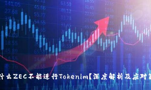 为什么ZEC不能进行Tokenim？深度解析及应对策略