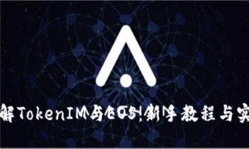 全面了解TokenIM与EOS：新手教程与实用技巧