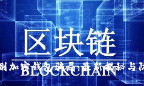 如何识别加密钱包骗局：最新揭秘与防骗技巧