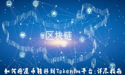 
如何将屎币转移到Tokenim平台：详尽指南