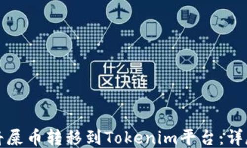 
如何将屎币转移到Tokenim平台：详尽指南