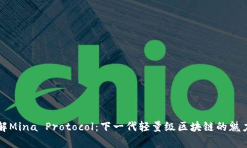 深入了解Mina Protocol：下一代轻量级区块链的魅力与前景