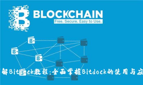 详解Bitdock教程：全面掌握Bitdock的使用与应用
