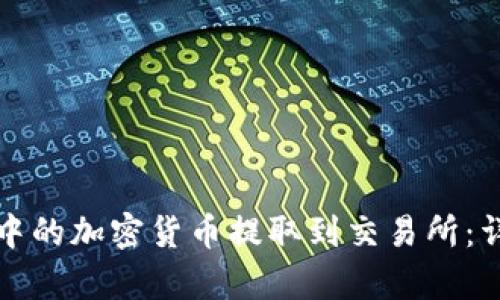 如何将冷钱包中的加密货币提取到交易所：详细步骤与解析