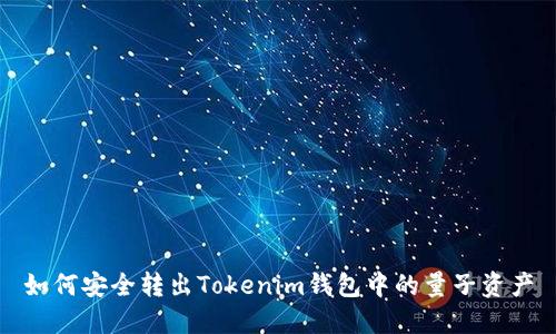如何安全转出Tokenim钱包中的量子资产