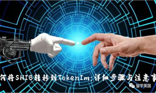如何将SHIB转移到TokenIm:详细步骤与注意事项