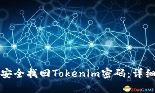 如何安全找回Tokenim密码：详细指南