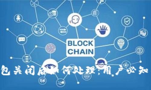 Tokenim钱包关闭后如何处理：用户必知的应对措施