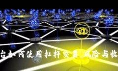 Tokenim平台如何使用杠杆交