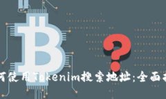 如何使用Tokenim搜索地址：