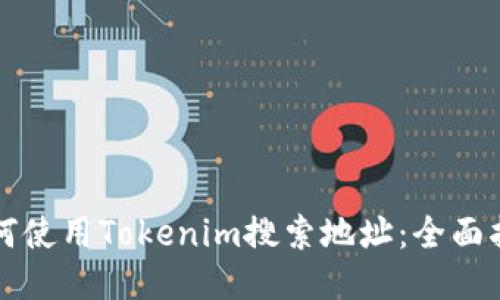 如何使用Tokenim搜索地址：全面指南