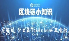 Tokenim深度解析：什么是