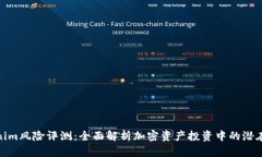 Tokenim风险评测：全面解析