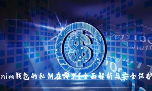 Tokenim钱包的私钥在哪里？全面解析与安全保护方法