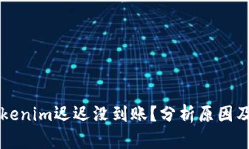转账到Tokenim迟迟没到账？分析原因及解决方案