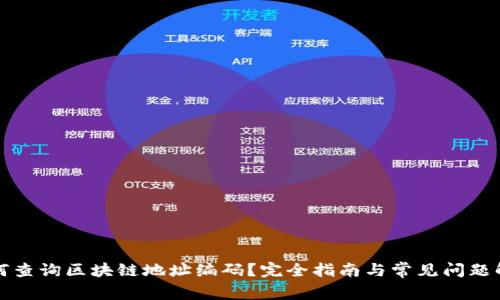 如何查询区块链地址编码?完全指南与常见问题解答