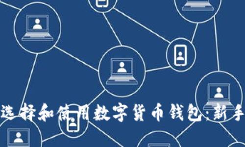 如何选择和使用数字货币钱包：新手指南