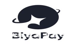 Tokenim开发公司：区块链技