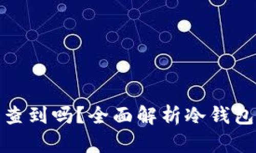 冷钱包资产被盗能查到吗？全面解析冷钱包安全性与防盗措施