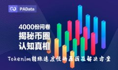 Tokenim转账速度慢的原因及