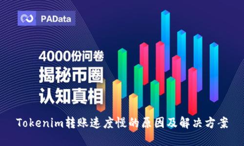 Tokenim转账速度慢的原因及解决方案
